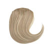 Picture of SARLA Dirty Blonde Side Bangs Clip in Synthetic Straight Bangs Extensions One Piece for Women