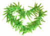 Picture of LITTLE FEATHER Green Artificial Fern Leaf Hawaiian Tropical Leis Headpiece Necklace Bracelet Set