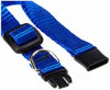 Picture of LupinePet Basics 1/2" Blue 8-12" Adjustable Collar for Small Dogs