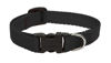 Picture of LupinePet Basics 1/2" Black 6-9" Adjustable Collar for Extra Small Dogs