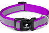 Picture of Taglory Reflective Adjustable Dog Collar, Quick Release Buckle, Pet Training Collars for Medium Dogs, Purple