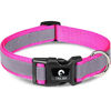 Picture of Taglory Reflective Adjustable Dog Collar, Quick Release Buckle, Pet Training Collars for Medium Dogs, Hotpink