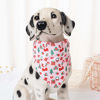 Picture of Mile High Life | Winter Holiday Celebration Collection | Soft Poly Cotton Fabric | Girl Dog Collars | Bandana Collar (Candy Canes,Bandana w/Collar -S)