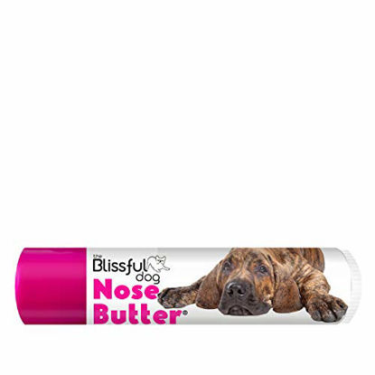 Picture of The Blissful Dog Fila Brasilerio Unscented Nose Butter - Dog Nose Butter, 4 Ounce