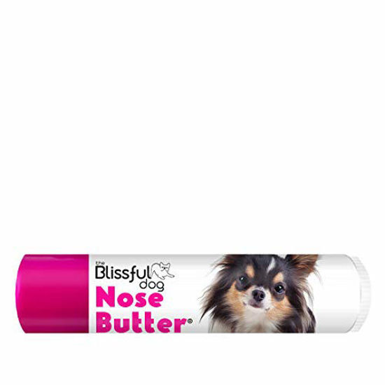 Picture of The Blissful Dog Long Coat Chihuahua Unscented Nose Butter - Dog Nose Butter, 1 Ounce