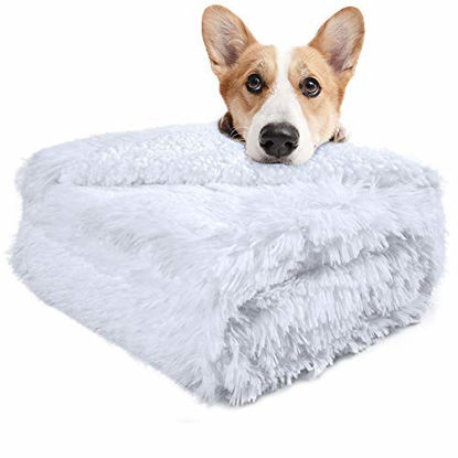 Picture of LOCHAS Luxury Velvet Fluffy Dog Blanket, Extra Soft and Warm Sherpa Fleece Pet Blankets for Dogs Cats, Plush Furry Faux Fur Puppy Throw Cover, 20''x30'' White