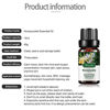 Picture of Honeysuckle Essential Oil - Organic Plant & Natural 100% Pure Honeysuckle Oil for Diffuser, Humidifier, Massage,Sleep, Bath, Skin & Hair Care - 10ml