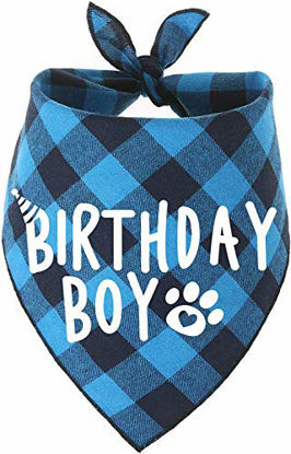 Picture of Dog Birthday Bandana Boy