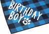 Picture of Dog Birthday Bandana Boy