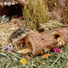 Picture of Niteangel Natural Wooden Hamster Mouse Tunnel Tube Toy Forest Hollow Tree Trunk