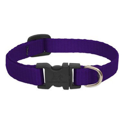 Picture of LupinePet Basics 1/2" Purple 6-9" Adjustable Collar for Extra Small Dogs