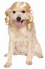 Picture of Rubie's Blonde Cheerleader Pet Wig, Small/Medium