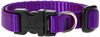 Picture of LupinePet Basics 1/2" Purple 8-12" Adjustable Collar for Small Dogs