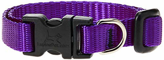 Picture of LupinePet Basics 1/2" Purple 8-12" Adjustable Collar for Small Dogs