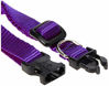 Picture of LupinePet Basics 1/2" Purple 8-12" Adjustable Collar for Small Dogs