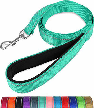 Picture of Taglory Nylon Dog Leash 6ft, Soft Padded Handle Pet Reflective Leashes for Puppy Small Medium Dogs Walking & Training, Turquoise