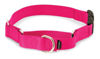 Picture of PetSafe Martingale Collar with Quick Snap Buckle, 1" Large, Raspberry