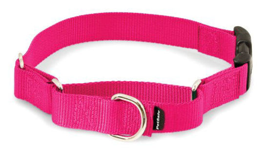 Picture of PetSafe Martingale Collar with Quick Snap Buckle, 1" Large, Raspberry