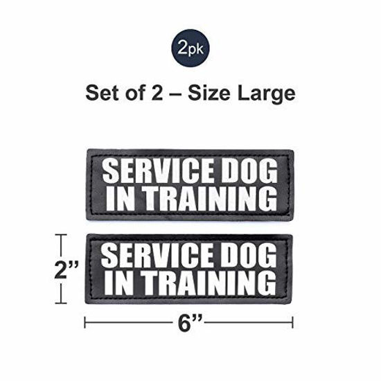 Service dog in outlet training patch