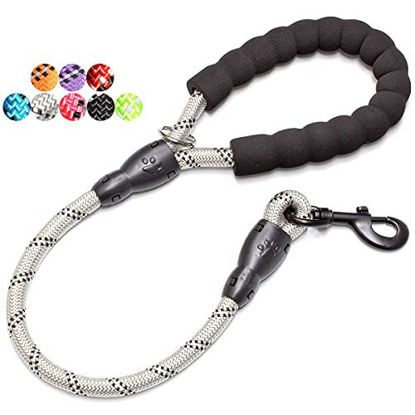 Picture of BAAPET 2/4/5/6 FT Strong Dog Leash with Comfortable Padded Handle and Highly Reflective Threads for Small Medium and Large Dogs (2FT-1/2'', Silver)