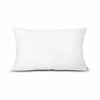 Picture of Edow Throw Pillow Insert, LightweightSoft Polyester Down Alternative Decorative Pillow, Sham Stuffer, Machine Washable. (White, 12x20)