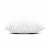 Picture of Edow Throw Pillow Insert, LightweightSoft Polyester Down Alternative Decorative Pillow, Sham Stuffer, Machine Washable. (White, 12x20)