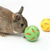 Picture of Niteangel Treat Ball, Snack Ball for Small Animals (Small, Yellow & Green)