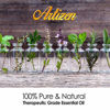 Picture of Artizen Head Relief Blend Essential Oil (100% Pure & Natural - Undiluted) Therapeutic Grade - Huge 1oz Bottle - Perfect for Aromatherapy, Relaxation, Skin Therapy & More!