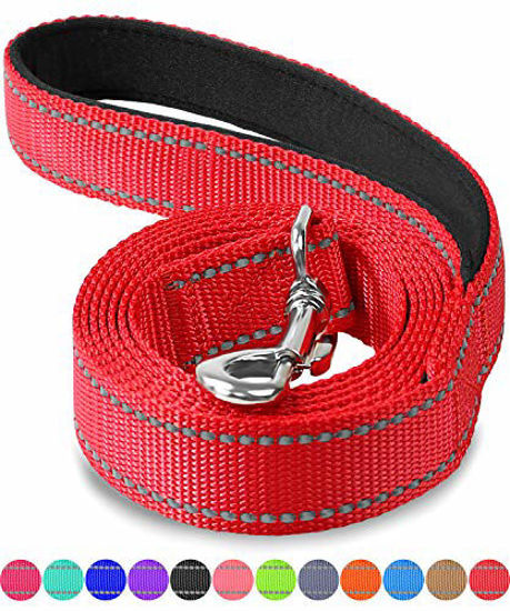 Picture of Joytale Reflective Nylon Dog Leash, Padded Handle Dogs Leashes for Walking,Training Lead for Medium & Small Dogs, 6FT,Red