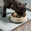 Picture of IRIS Slow Feeding Bowl for Short Snouted Pets