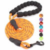 Picture of BAAPET 5 FT Strong Dog Leash with Comfortable Padded Handle and Highly Reflective Threads for Small Medium and Large Dogs (1/3'', Orange)