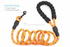 Picture of BAAPET 5 FT Strong Dog Leash with Comfortable Padded Handle and Highly Reflective Threads for Small Medium and Large Dogs (1/3'', Orange)