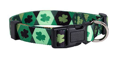 Picture of Native Pup St. Patrick's Day Dog Collars (Medium, Argyle)