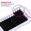 Picture of Lash Extension D Curl 12mm FADLASH Eyelash Extension Lashes 0.15 Individual Lashes Silk Classic Lash Extensions Supplies (0.15-D, 12mm)