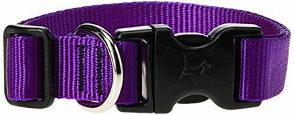 Picture of LupinePet Basics 1" Purple 16-28" Adjustable Collar for Large Dogs