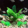 Picture of Aquarium 6 inch Silk Plants for Betta Fish Tank, Underwater Aquatic Water Grass Decor