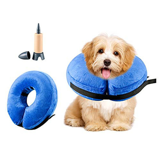 Pillow cone for outlet dogs