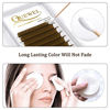 Picture of Easy Fan Volume Lashes .07 D Curl Brown Volume Lash Extensions 9-16mm Mixed Lash Tray Color Lashes Extension Self Fanning 2D-10D Volume Eyelash Extensions by QUEWEL (Brown 0.07 D 9-16mm)