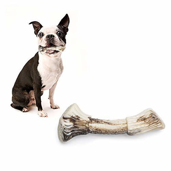 Picture of PETSLA Dog Toy for Aggressive Chewers Durable Dog Chew Toy Made with Nylon Heavy Duty Hard Tough Dog Toy for Small Dog and Teething Puppies (Nylon Antler Bone, Dogs up to 22 lb)