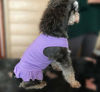 Picture of Pet Clothes Small Dog Clothing Blank Color Sport Dress T-Shirts Tee Dresses Tanks Top for Small Size Female Dogs Summer Spring Pet Costumes 100% Cotton (S, Violet)