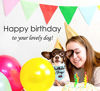 Picture of Bubblepup Dog Birthday Bandana, Dog Birthday Bandana boy Girl, Happy Birthday Dog Bandana for Girls and Boys