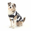 Picture of Bad to The Bone Jailbird Dog Shirt - Cute Convict Halloween Costume (Large)