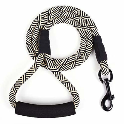 Picture of Mile High Life Mountain Climbing Nylon Dog Rope Leash with Soft Handle 4 Feet (Black White)