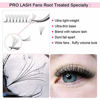 Picture of Premade Volume Eyelash Extensions 7D-C-0.07-10 Short Stem Premade Fans Eyelash Extensions 9 to 20 mm Pre made Lash Fans 3D 5D 7D Volume Lash Extensions .07 .10 C D Curl(7D-C-0.07,10mm)