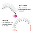 Picture of Lash Fans D Curl 0.07 14mm 5D Lash Extensions Short Stem Premade Eyelash Extensions Optinal 3D 5D Thickness 0.07 0.10mm C D Curl 8-20mm Length (5D-0.07-D, 14mm)