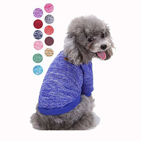 Cute small dog on sale sweaters