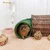 Picture of Niteangel Fun Tunnel with 3 Pack Play Balls for Guinea Pigs, Chinchillas, Rats and Dwarf Rabbits (Dark Green)