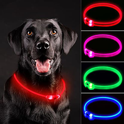 NOVKIN LED Dog Collar, Rechargeable RGB Color Changing Light Up Dog  Collars, Waterproof Dog Lights Make Pet Visible and Safety for Night