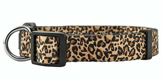 Picture of Native Pup Animal Print Dog Collars (Large, Leopard)