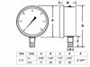 Picture of PureSec 2020 Water Pressure Gauge Stainless Steel Glycerin Filled 0-1.6Mpa or 0-220 PSI Quick Connect Water Test Meter (0-1.6kg(MPa)/0-220psi)